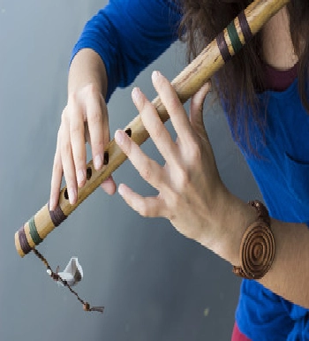 Music Classes and Vocal Classes in Raipur