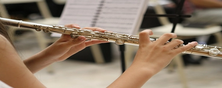 Flute Classes in Raipur
