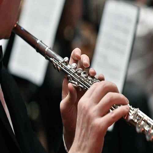 Flute Music Classes in Raipur