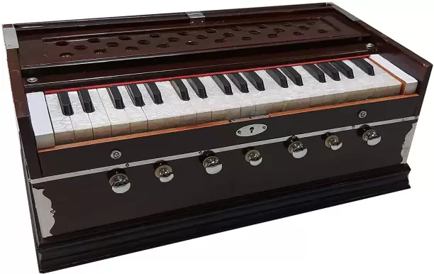 Harmonium Classes in Raipur