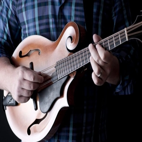 Mandolin Music Classes in Dhansuli raipur