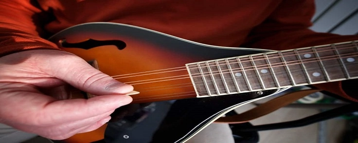 Mandolin Classes in Dhansuli raipur